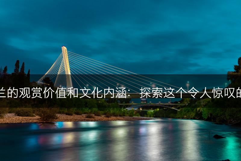 蝴蝶兰的观赏价值和文化内涵：探索这个令人惊叹的花卉(图1)