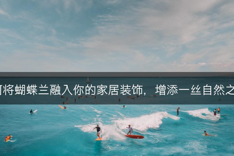 如何将蝴蝶兰融入你的家居装饰,增添一丝自然之美?(图1) 如何将蝴蝶兰融入你的家居装饰,增添一丝自然之美?(图1)