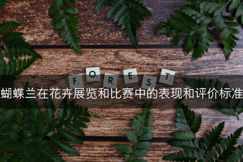 蝴蝶兰在花卉展览和比赛中的表现和评价标准(图1)