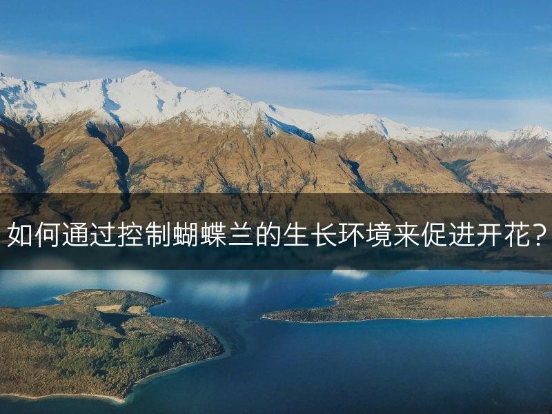 如何通过控制蝴蝶兰的生长环境来促进开花?(图1) 如何通过控制蝴蝶兰的生长环境来促进开花?(图1)
