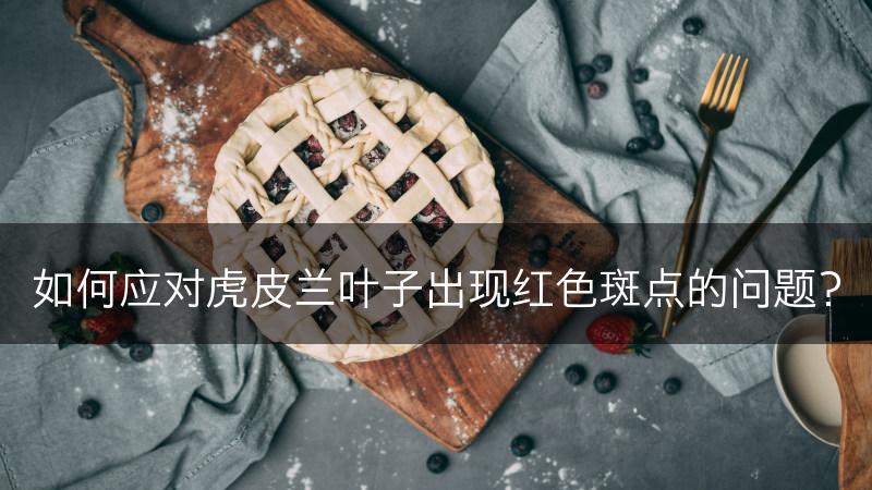 如何应对虎皮兰叶子出现红色斑点的问题?(图1) 如何应对虎皮兰叶子出现红色斑点的问题?(图1)