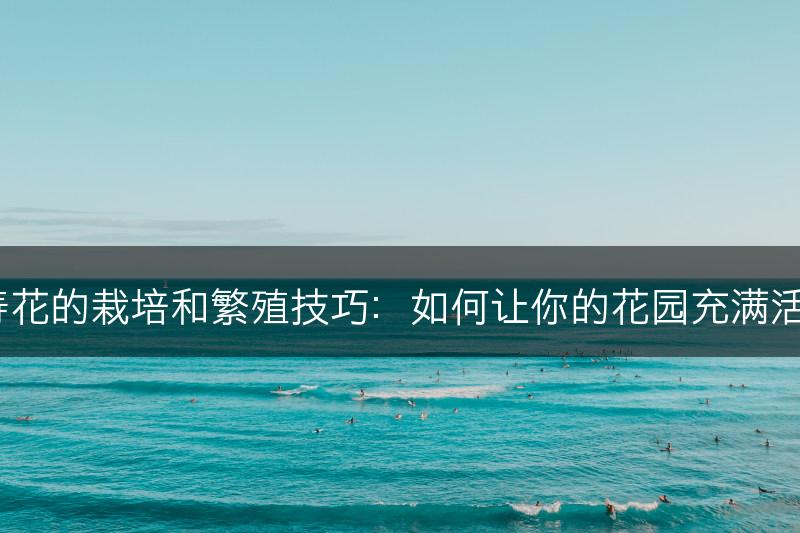 长寿花的栽培和繁殖技巧：如何让你的花园充满活力？(图1)