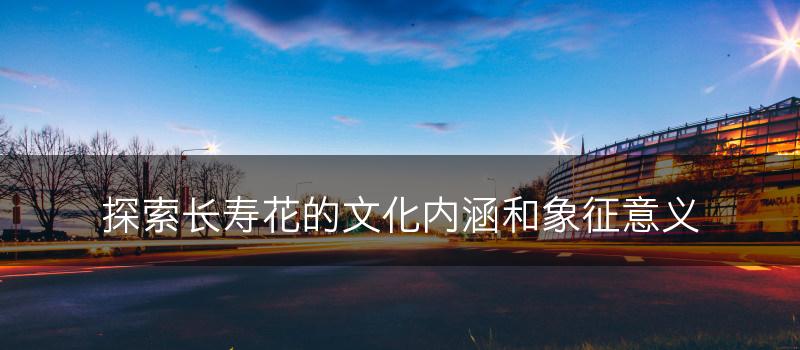 探索长寿花的文化内涵和象征意义(图1)
