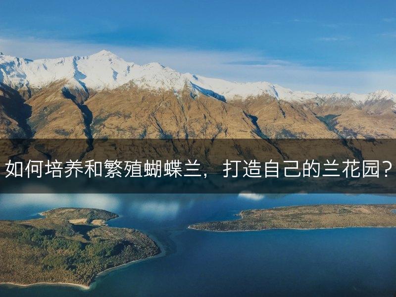 如何培养和繁殖蝴蝶兰,打造自己的兰花园?(图1) 如何培养和繁殖蝴蝶兰,打造自己的兰花园?(图1)