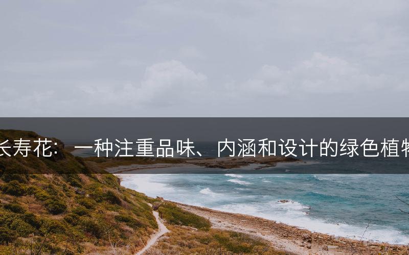 长寿花：一种注重品味、内涵和设计的绿色植物(图1)