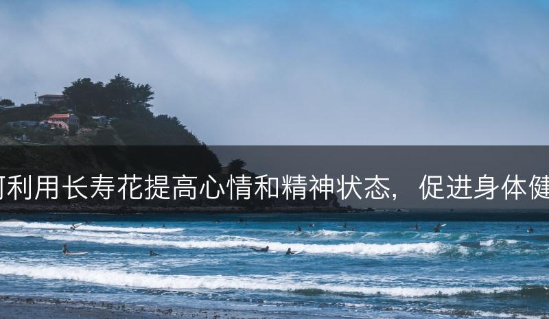 如何利用长寿花提高心情和精神状态，促进身体健康？(图1)