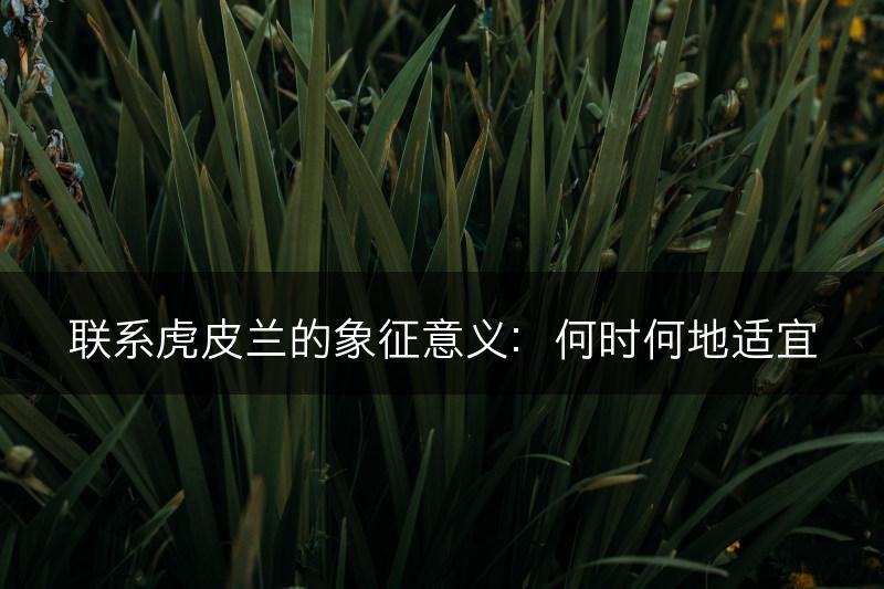 联系虎皮兰的象征意义：何时何地适宜(图1)