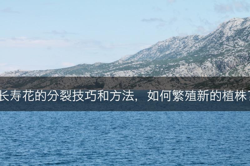 长寿花的分裂技巧和方法，如何繁殖新的植株？(图1)