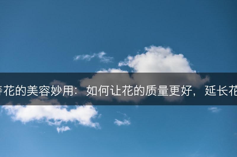 长寿花的美容妙用：如何让花的质量更好，延长花期？(图1)