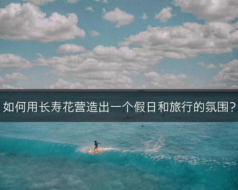 如何用长寿花营造出一个假日和旅行的氛围？(图1)