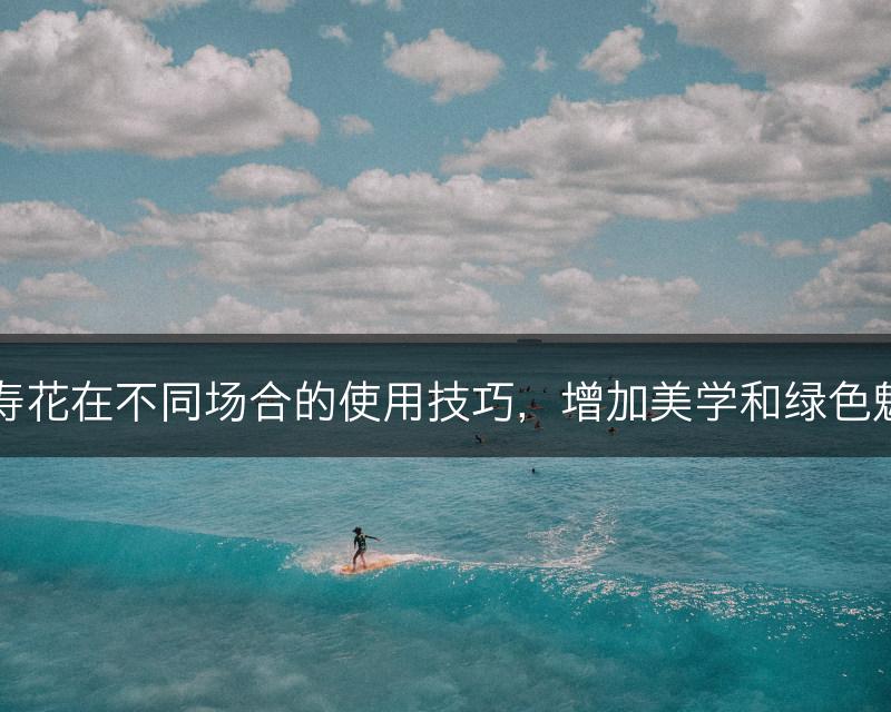 长寿花在不同场合的使用技巧，增加美学和绿色魅力(图1)