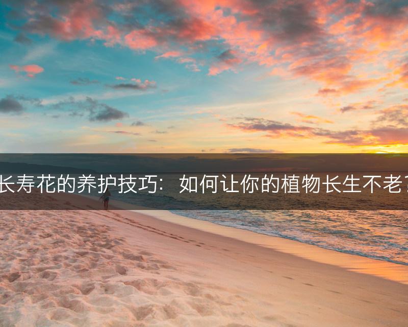 长寿花的养护技巧：如何让你的植物长生不老？(图1)