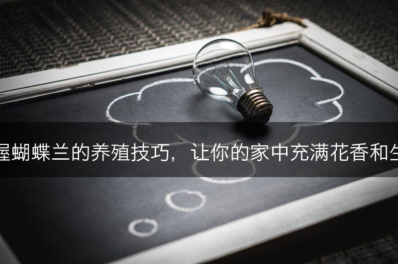 掌握蝴蝶兰的养殖技巧,让你的家中充满花香和生机(图1) 掌握蝴蝶兰的养殖技巧,让你的家中充满花香和生机(图1)