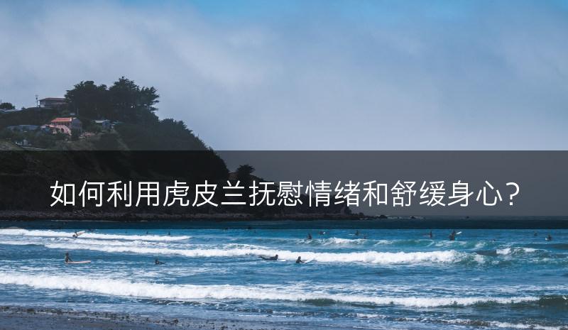 如何利用虎皮兰抚慰情绪和舒缓身心?(图1) 如何利用虎皮兰抚慰情绪和舒缓身心?(图1)