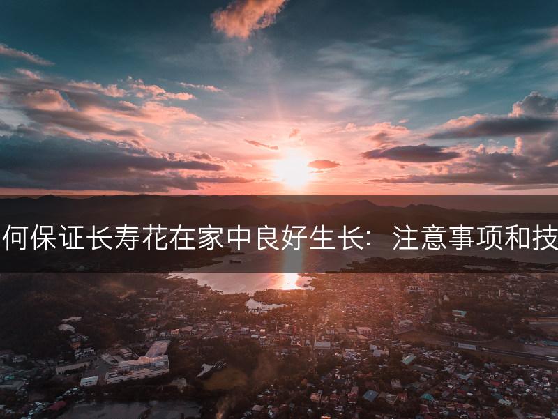 如何保证长寿花在家中良好生长：注意事项和技巧(图1)