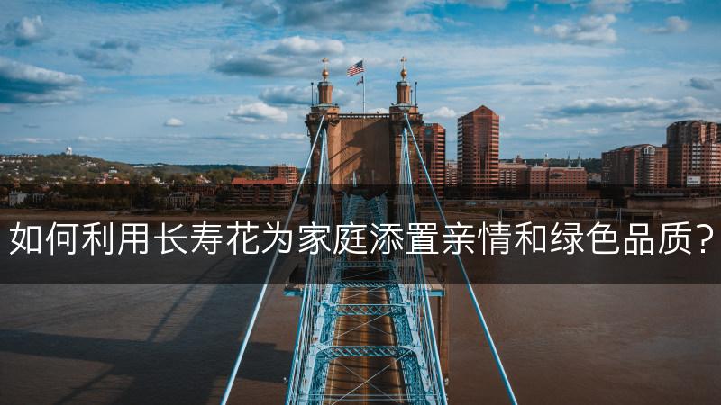 如何利用长寿花为家庭添置亲情和绿色品质？(图1)