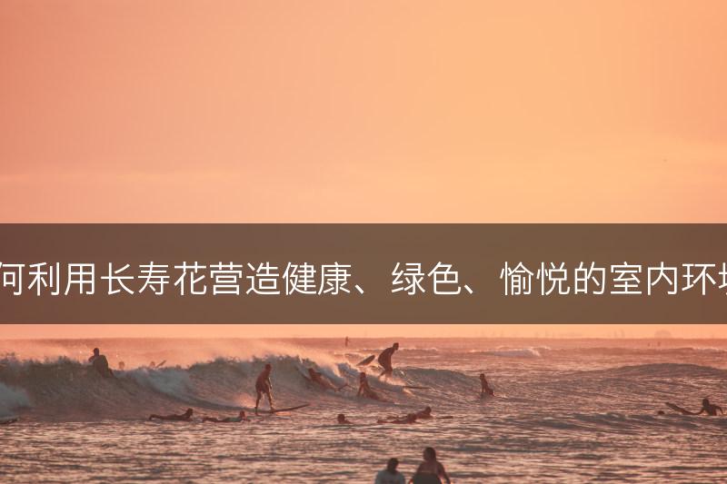 如何利用长寿花营造健康、绿色、愉悦的室内环境？(图1)