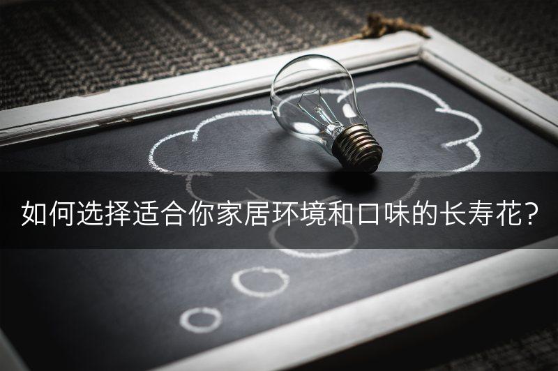 如何选择适合你家居环境和口味的长寿花？(图1)