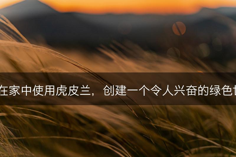 如何在家中使用虎皮兰，创建一个令人兴奋的绿色世界？(图1)