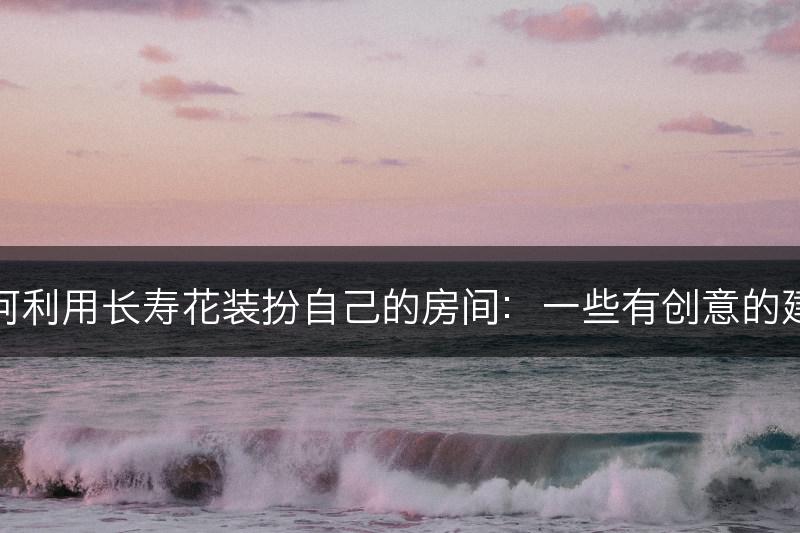 如何利用长寿花装扮自己的房间：一些有创意的建议(图1)