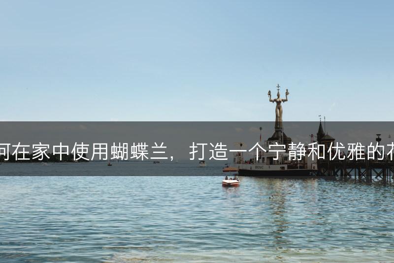 如何在家中使用蝴蝶兰,打造一个宁静和优雅的花园(图1) 如何在家中使用蝴蝶兰,打造一个宁静和优雅的花园(图1)