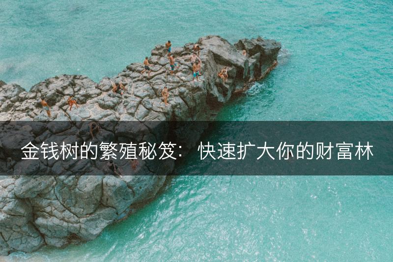 金钱树的繁殖秘笈:快速扩大你的财富林(图1) 金钱树的繁殖秘笈:快速扩大你的财富林(图1)