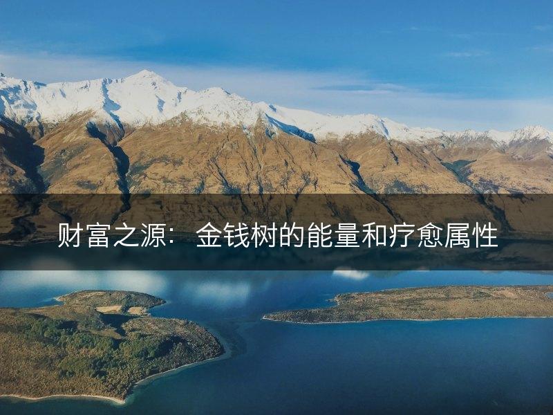 财富之源:金钱树的能量和疗愈属性(图1) 财富之源:金钱树的能量和疗愈属性(图1)