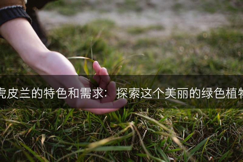 虎皮兰的特色和需求：探索这个美丽的绿色植物(图1)