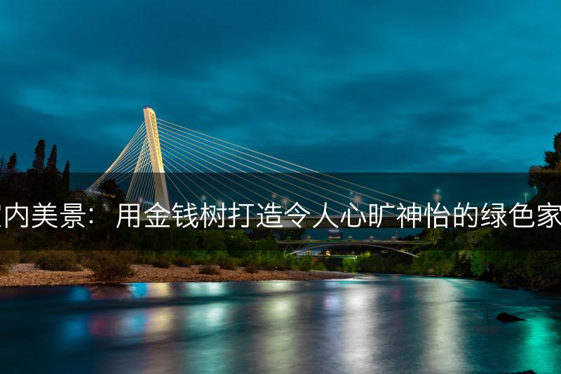室内美景:用金钱树打造令人心旷神怡的绿色家园(图1) 室内美景:用金钱树打造令人心旷神怡的绿色家园(图1)