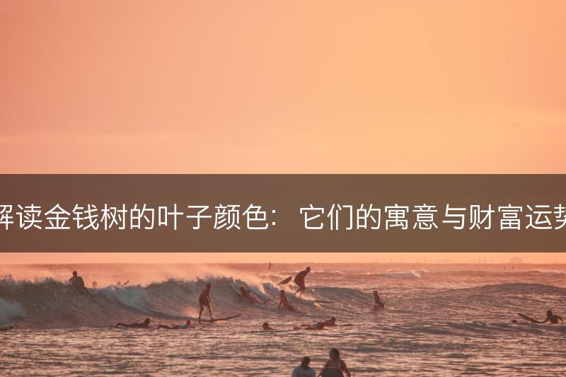 解读金钱树的叶子颜色:它们的寓意与财富运势(图1) 解读金钱树的叶子颜色:它们的寓意与财富运势(图1)