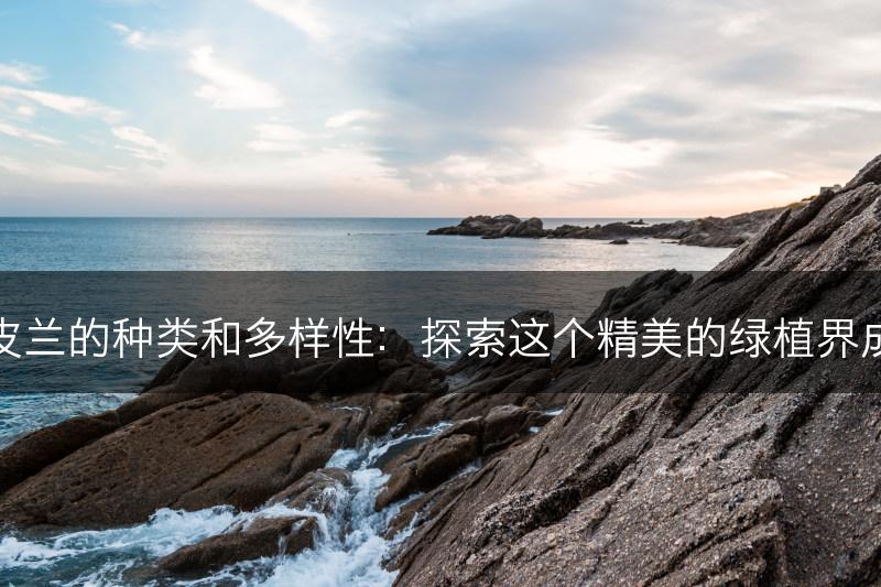 虎皮兰的种类和多样性：探索这个精美的绿植界成员(图1)