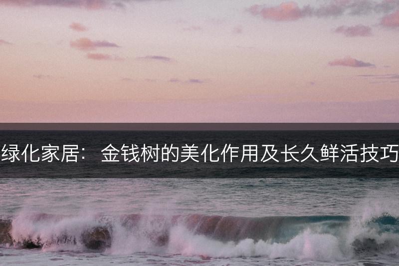 绿化家居:金钱树的美化作用及长久鲜活技巧(图1) 绿化家居:金钱树的美化作用及长久鲜活技巧(图1)