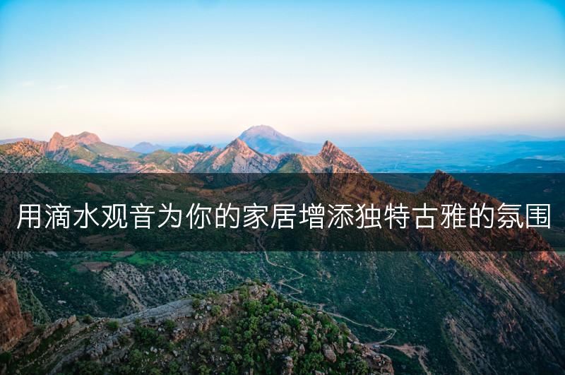 用滴水观音为你的家居增添独特古雅的氛围(图1)