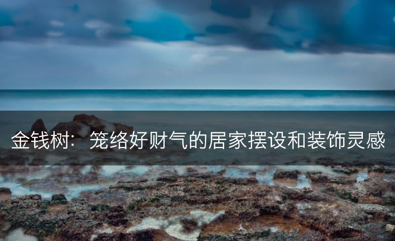 金钱树:笼络好财气的居家摆设和装饰灵感(图1) 金钱树:笼络好财气的居家摆设和装饰灵感(图1)