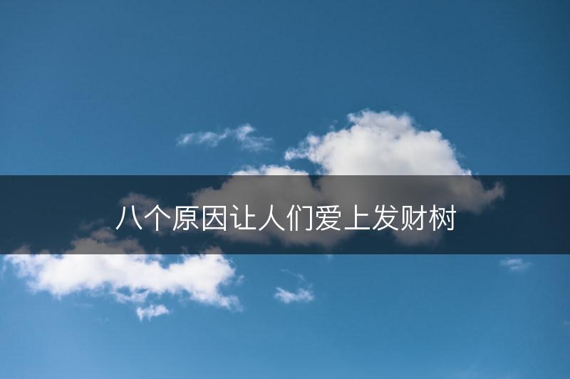 八个原因让人们爱上发财树(图1)