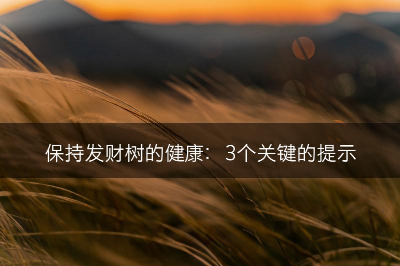 保持发财树的健康：3个关键的提示(图1)