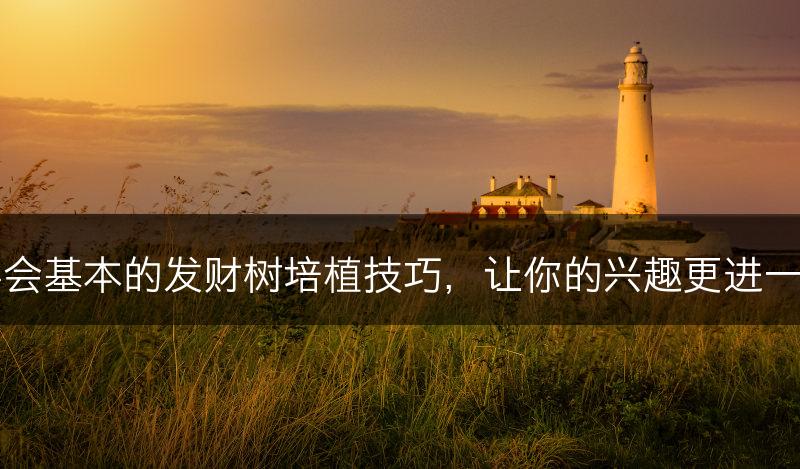 学会基本的发财树培植技巧，让你的兴趣更进一步(图1)