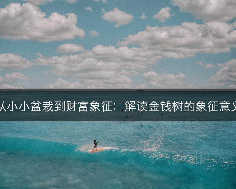 从小小盆栽到财富象征:解读金钱树的象征意义(图1) 从小小盆栽到财富象征:解读金钱树的象征意义(图1)
