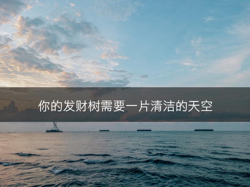 你的发财树需要一片清洁的天空(图1) 你的发财树需要一片清洁的天空(图1)