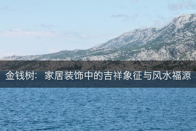 金钱树：家居装饰中的吉祥象征与风水福源(图1)