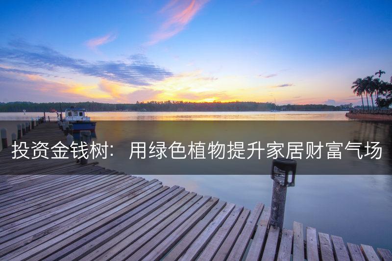 投资金钱树:用绿色植物提升家居财富气场(图1) 投资金钱树:用绿色植物提升家居财富气场(图1)
