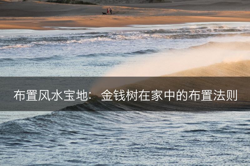 布置风水宝地:金钱树在家中的布置法则(图1) 布置风水宝地:金钱树在家中的布置法则(图1)