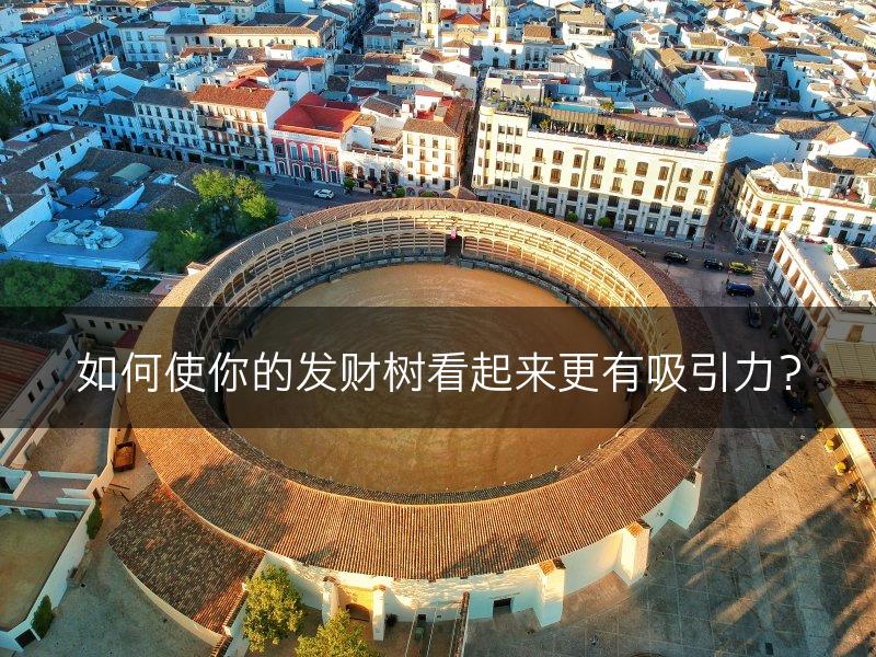 如何使你的发财树看起来更有吸引力?(图1) 如何使你的发财树看起来更有吸引力?(图1)