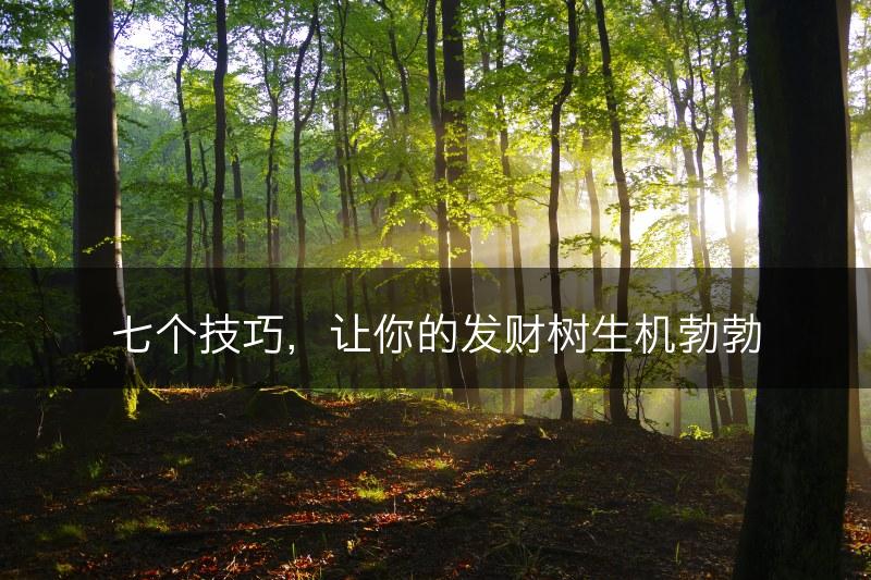七个技巧,让你的发财树生机勃勃(图1) 七个技巧,让你的发财树生机勃勃(图1)