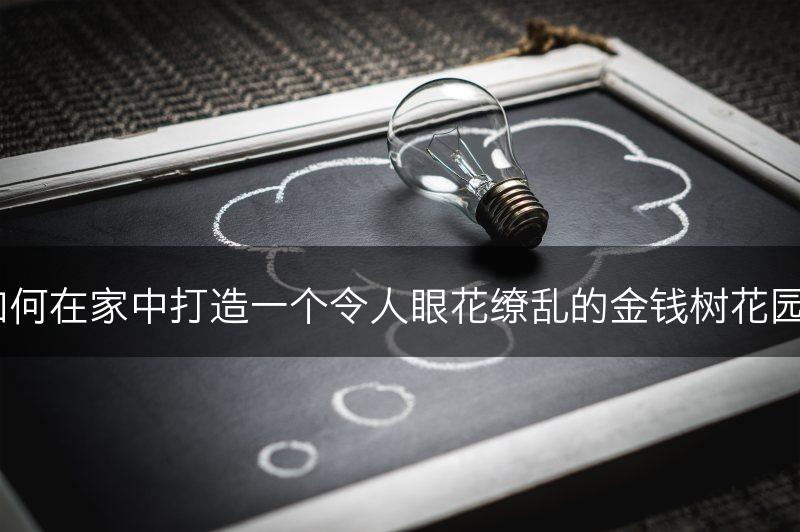 如何在家中打造一个令人眼花缭乱的金钱树花园？(图1)