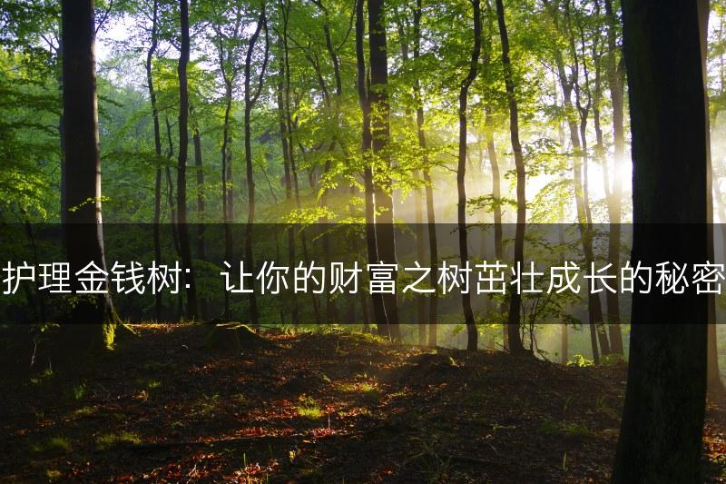 护理金钱树:让你的财富之树茁壮成长的秘密(图1) 护理金钱树:让你的财富之树茁壮成长的秘密(图1)