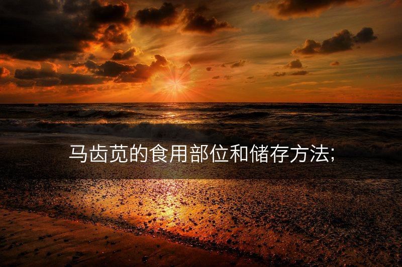 马齿苋的食用部位和储存方法；(图1)