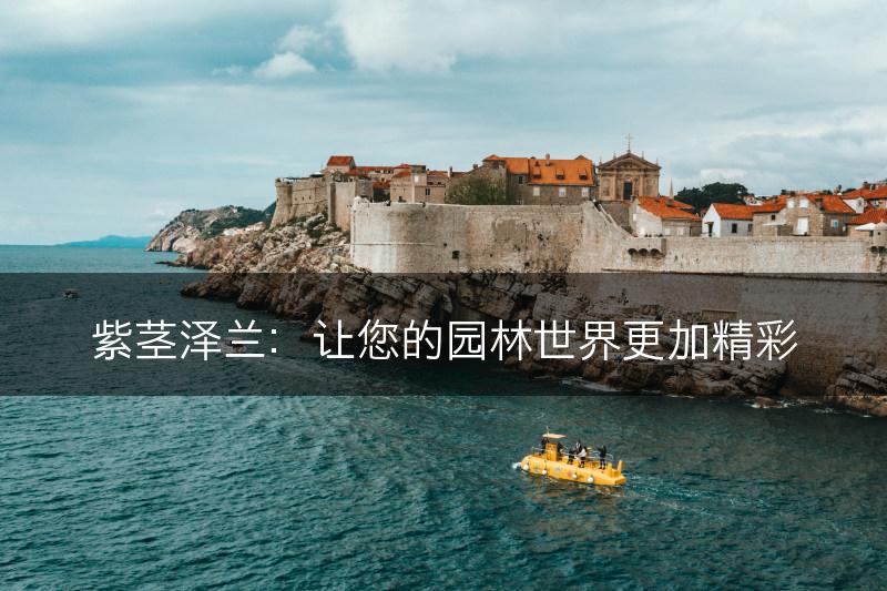 紫茎泽兰：让您的园林世界更加精彩(图1)
