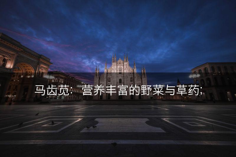 马齿苋：营养丰富的野菜与草药；(图1)