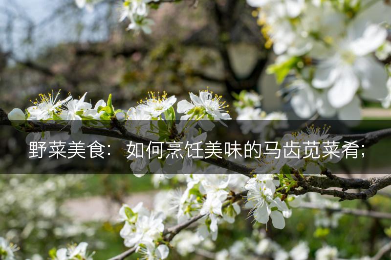 野菜美食：如何烹饪美味的马齿苋菜肴；(图1)